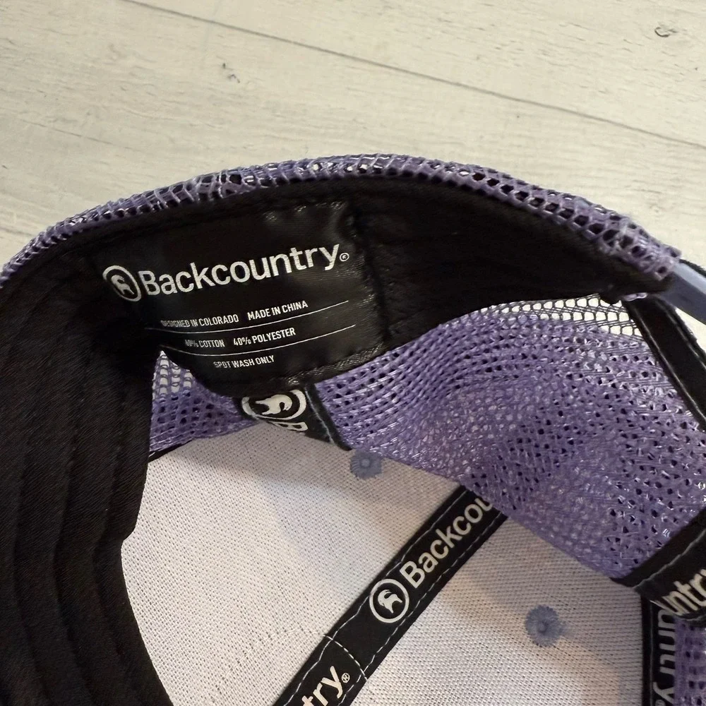 Backcountry unisex adult purple logo‎ hat